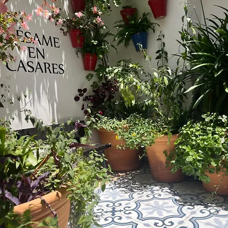 Semesterbostad La Cuadrita Casares